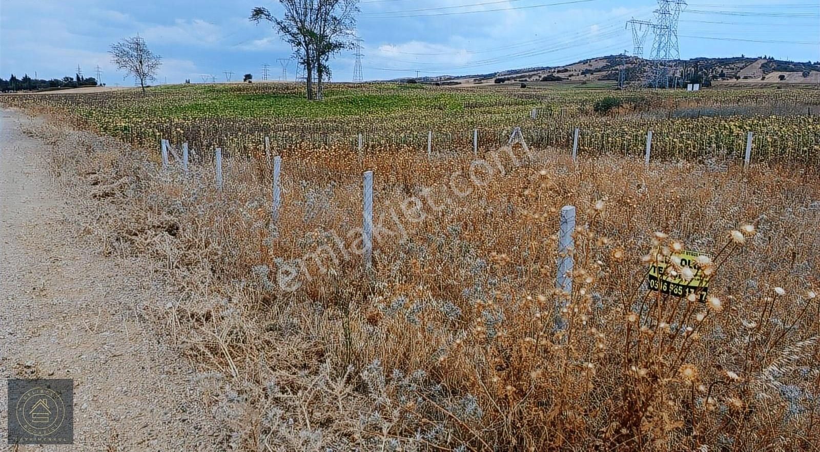 Gelibolu Koruköy De Yatırımlık Arsa. - Görsel 2