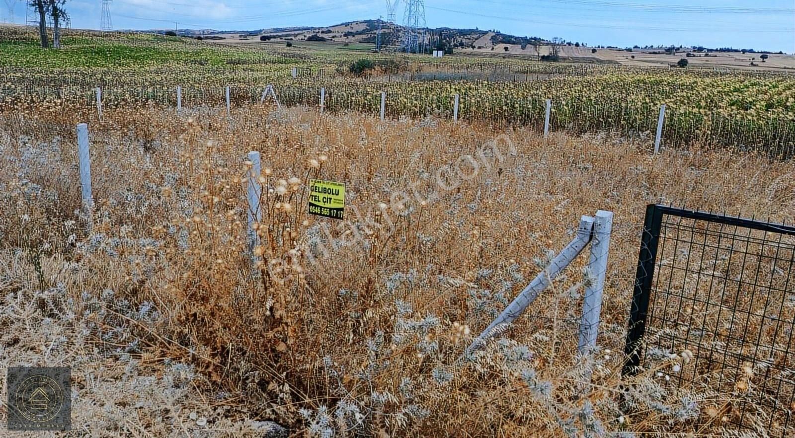Gelibolu Koruköy De Yatırımlık Arsa. - Görsel 5