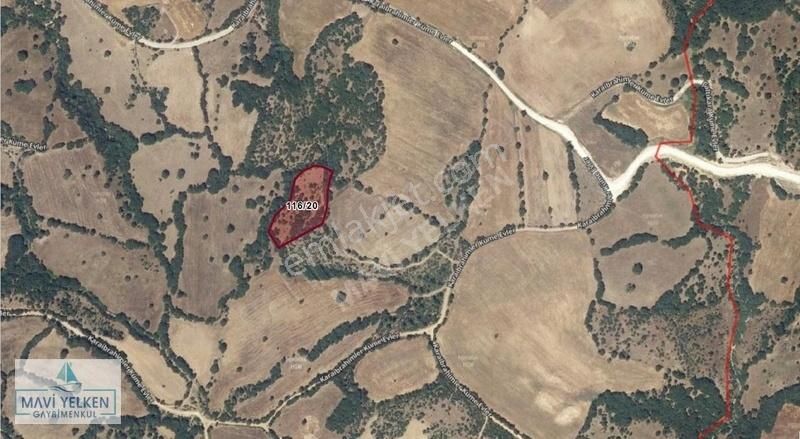 Çanakkale Bayramiç Karaibrahimler Köyün'de Kelepir Satılık Tarla