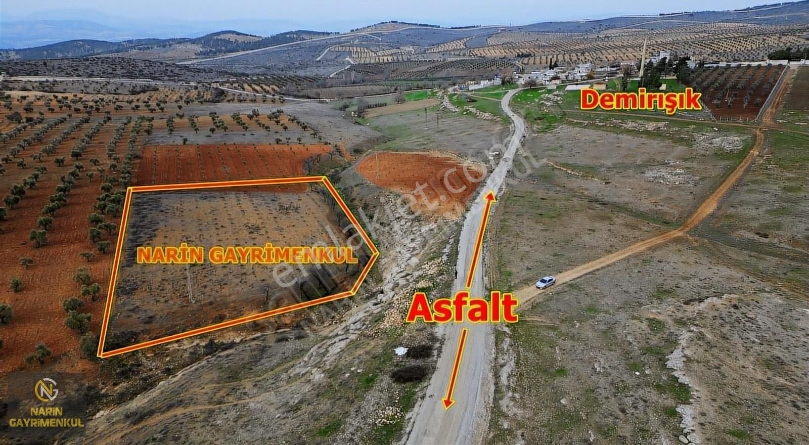 Kilis Demirışık Köyünde Asfalt Kenarı Üzüm Bahçesi - Görsel 6