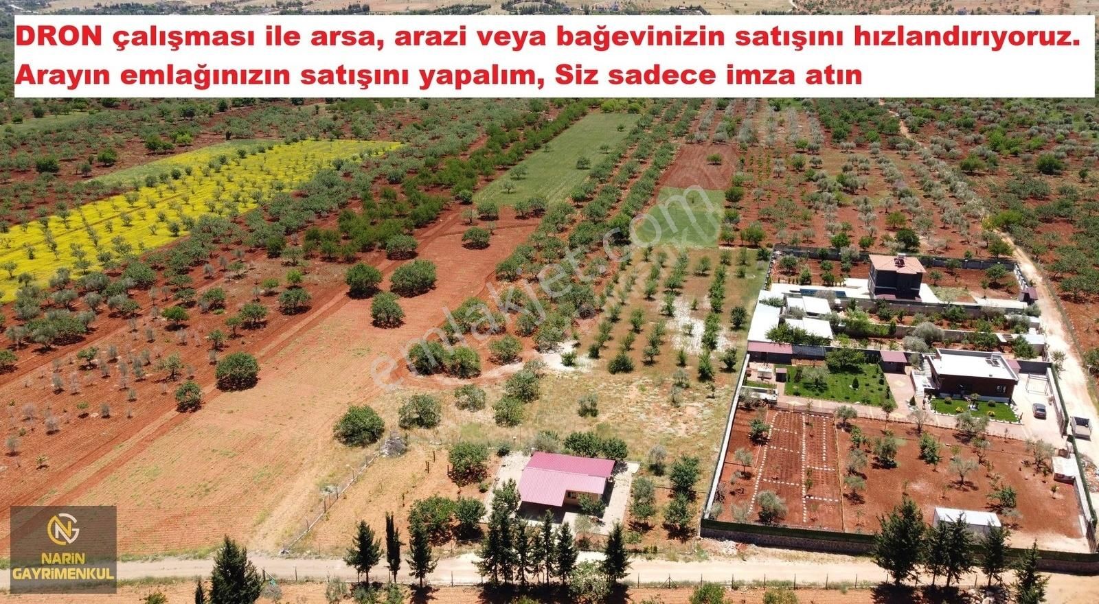 Kilis Demirışık Köyünde Asfalt Kenarı Üzüm Bahçesi - Görsel 7