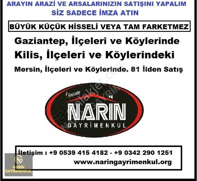 Kilis Demirışık Köyünde Asfalt Kenarı Üzüm Bahçesi - Görsel 3