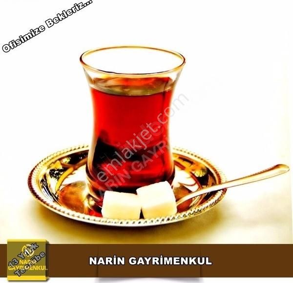 Kilis Demirışık Köyünde Asfalt Kenarı Üzüm Bahçesi - Görsel 4