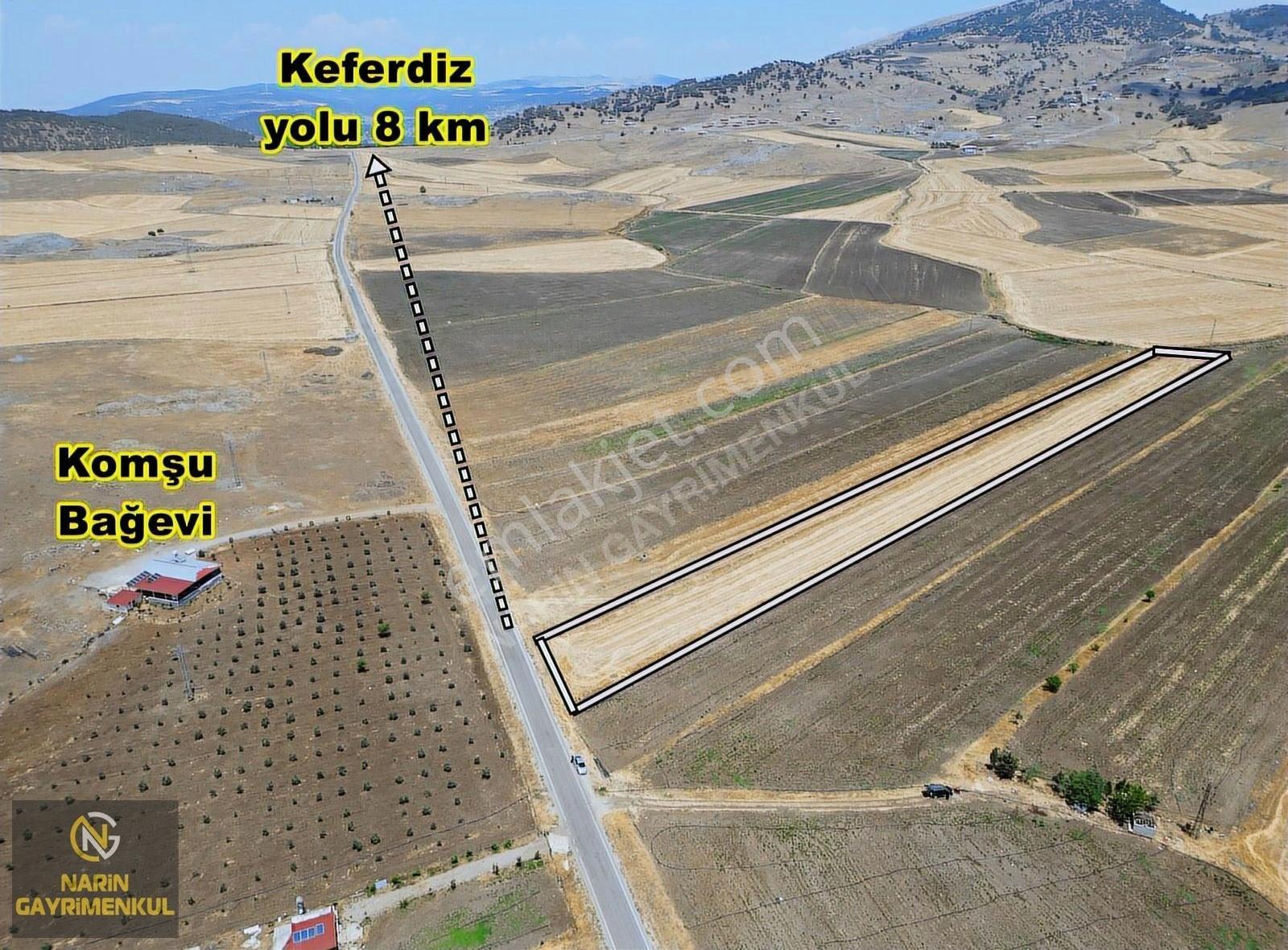 Nurdağı Kırkpınar Asfalt'ta, Suyu Başında, Hayvancılığa Çiftliğe - Görsel 6