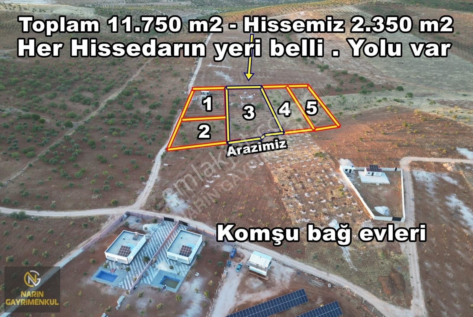 Şehitkamil Sinan Da Fıstık Zeytin Yolu Var Komşularda Evler Var - Görsel 2