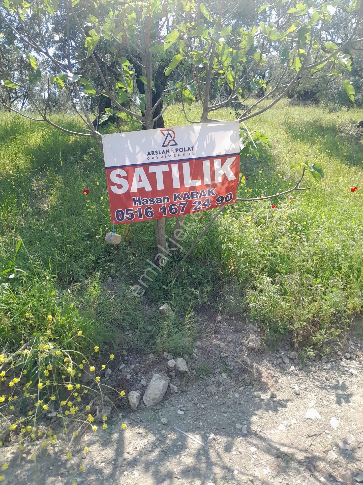 Çepni Mah Doğa Manzaralı Bir Yer Kaçırılmayacak Fırsat Yatırımlık Yerimiz Satılık