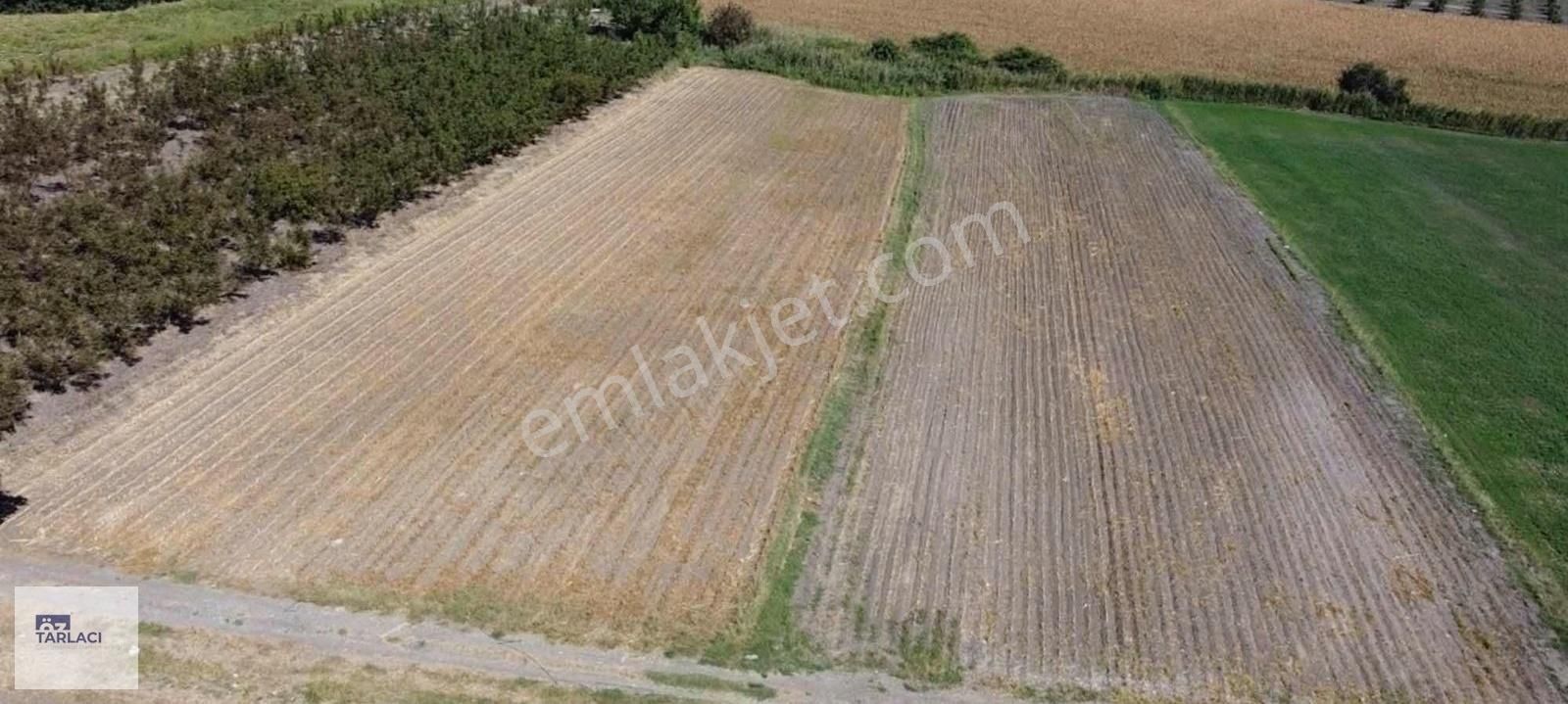 Yavelli'de Satılık 22.636m2 Tarla