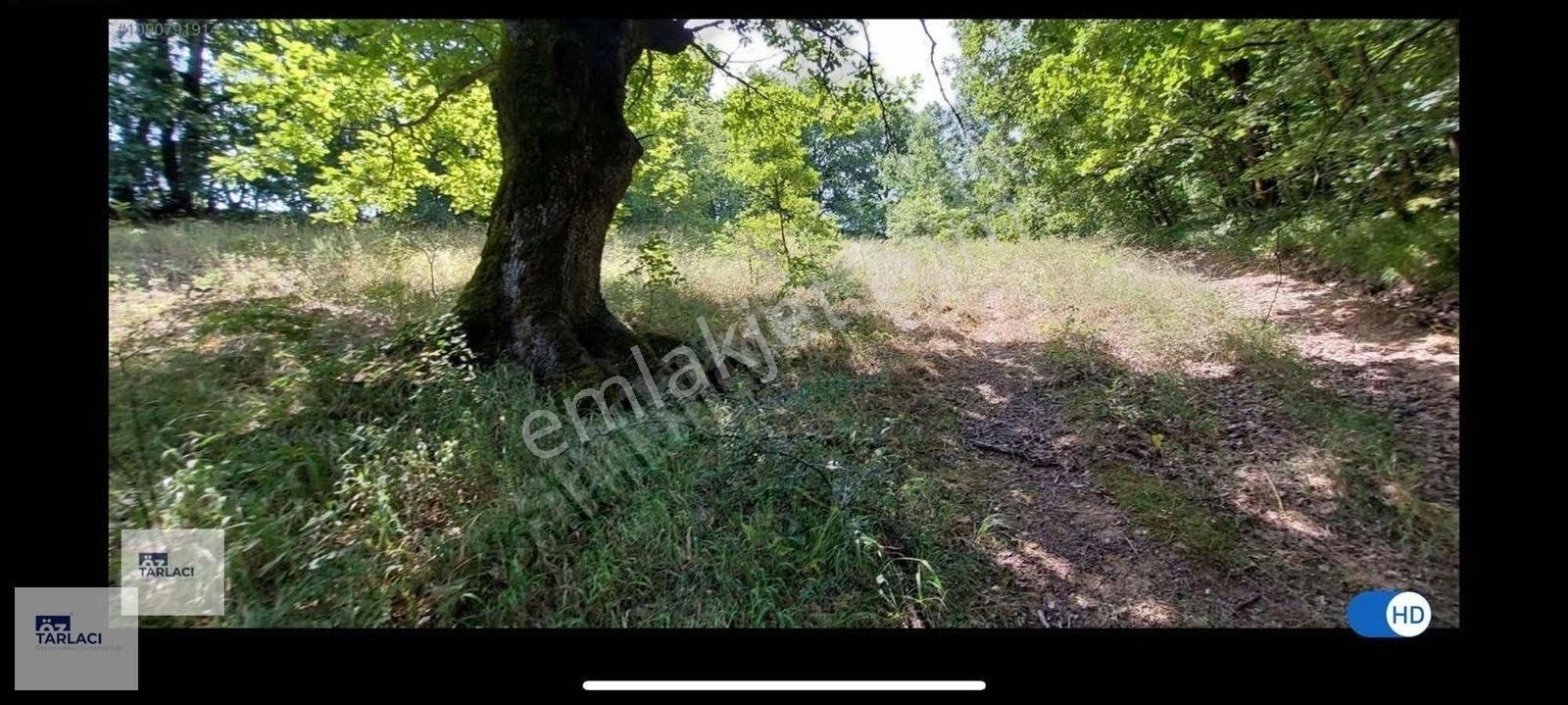 Akarca Mahallesi'nde Satılık 3350m2