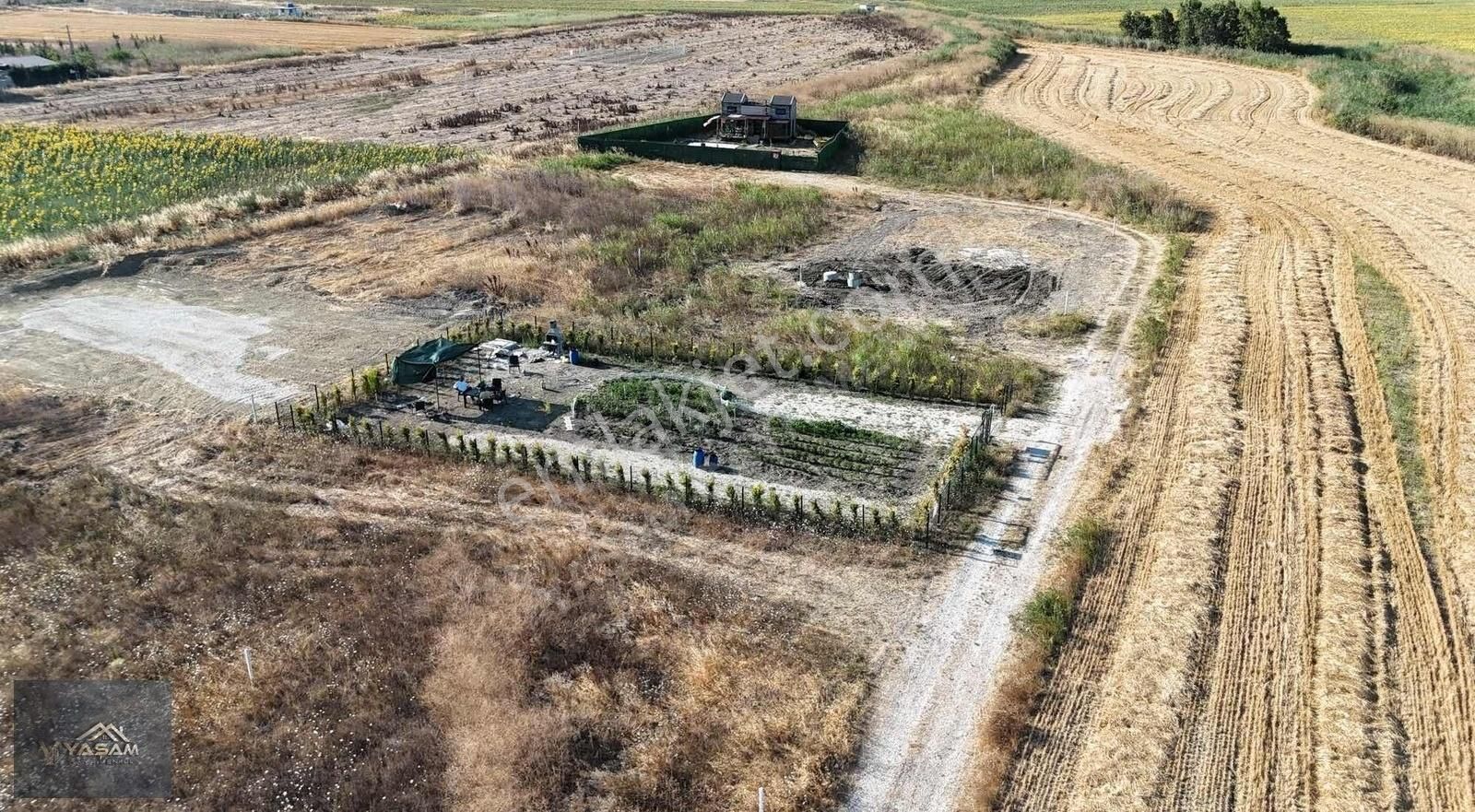 Çam Ağaçları İle Çevrili Su Kuyusu Açılmış 500m2 İmarlı Arsa - Görsel 10