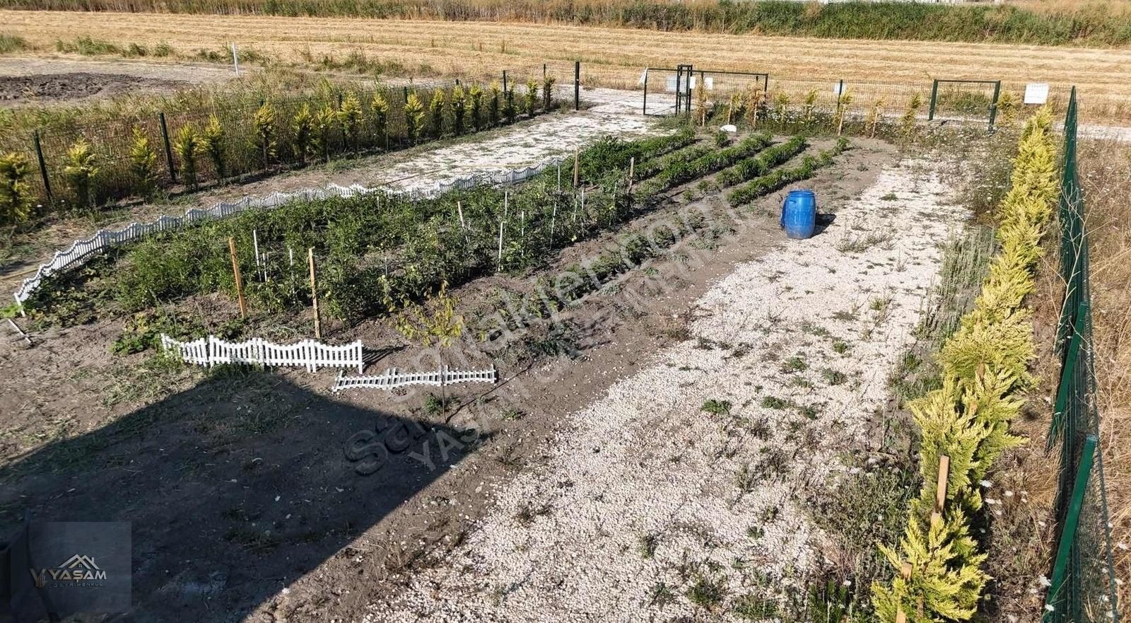 Çam Ağaçları İle Çevrili Su Kuyusu Açılmış 500m2 İmarlı Arsa - Görsel 5
