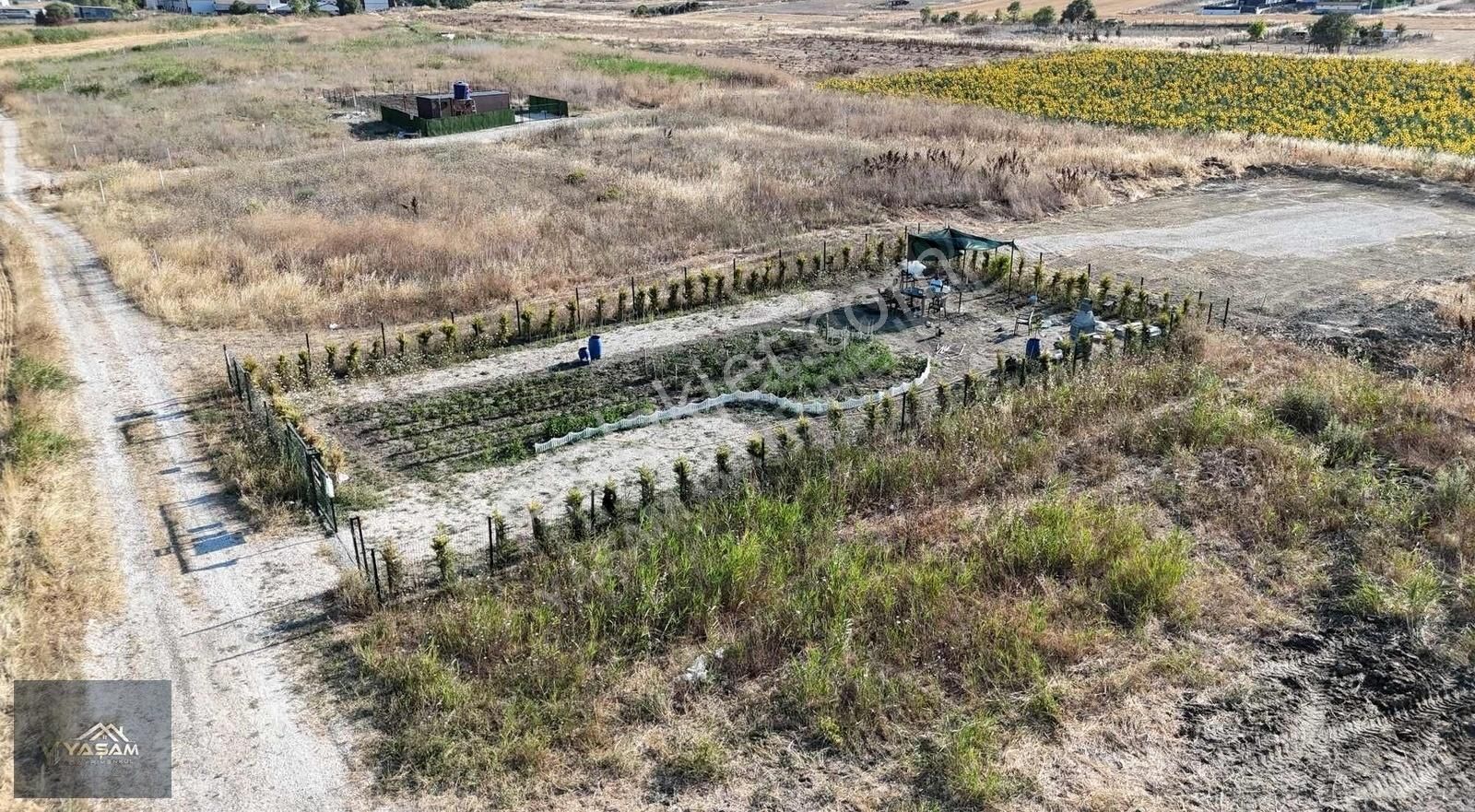 Çam Ağaçları İle Çevrili Su Kuyusu Açılmış 500m2 İmarlı Arsa - Görsel 12