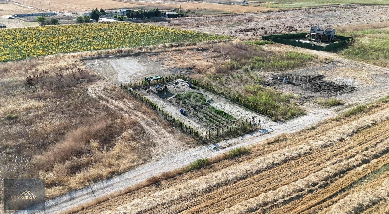 Çam Ağaçları İle Çevrili Su Kuyusu Açılmış 500m2 İmarlı Arsa - Görsel 9