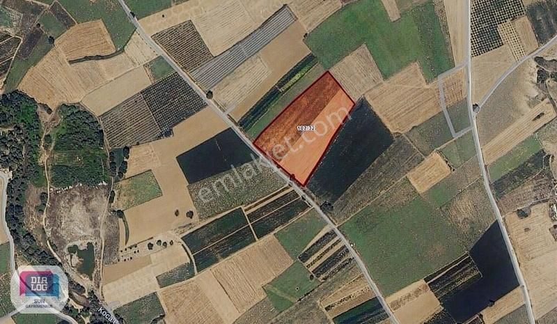 Dialog Sun Satılık İnegöl Şipalide 23.500m² Fırsat Yatırım Tarla