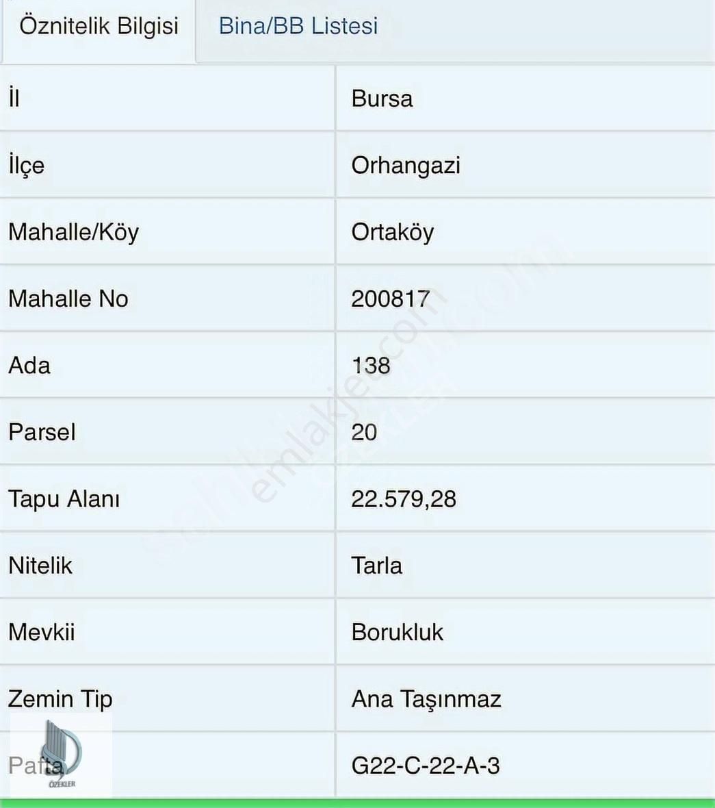 Yalova-bursa Yolu Süpürgelik Mevkiinde 22.5 Dönüm Zeytinlik - Görsel 3