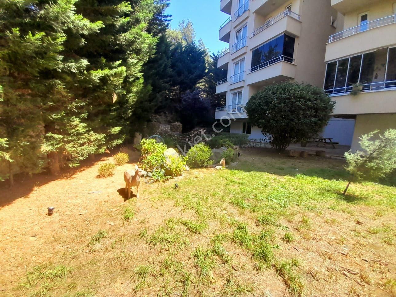 Park Mesire Evleri'nde Doğa Manzaralı-ebeveyn Banyolu-geniş 2+1 - Görsel 28