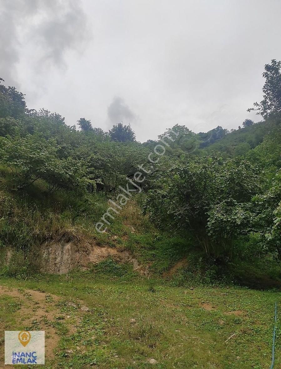 İnanç Prime Emlaktan Erikliman Da 20 Dönüm Turizm İmarlı Arsa - Görsel 7