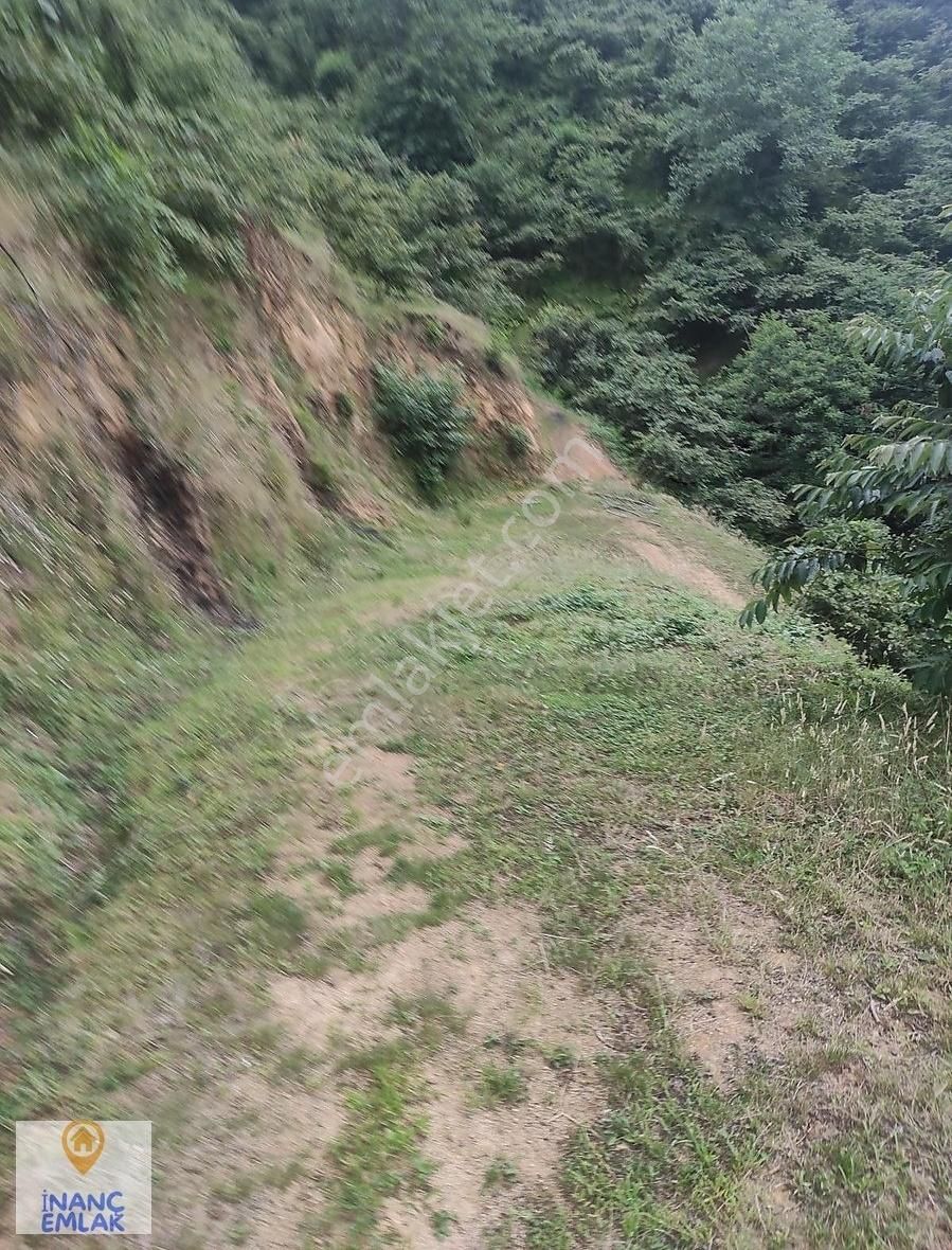 İnanç Prime Emlaktan Erikliman Da 20 Dönüm Turizm İmarlı Arsa - Görsel 27