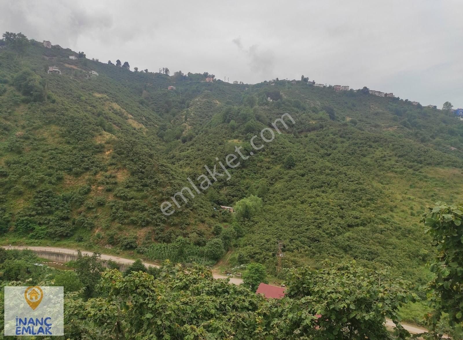 İnanç Prime Emlaktan Erikliman Da 20 Dönüm Turizm İmarlı Arsa - Görsel 5