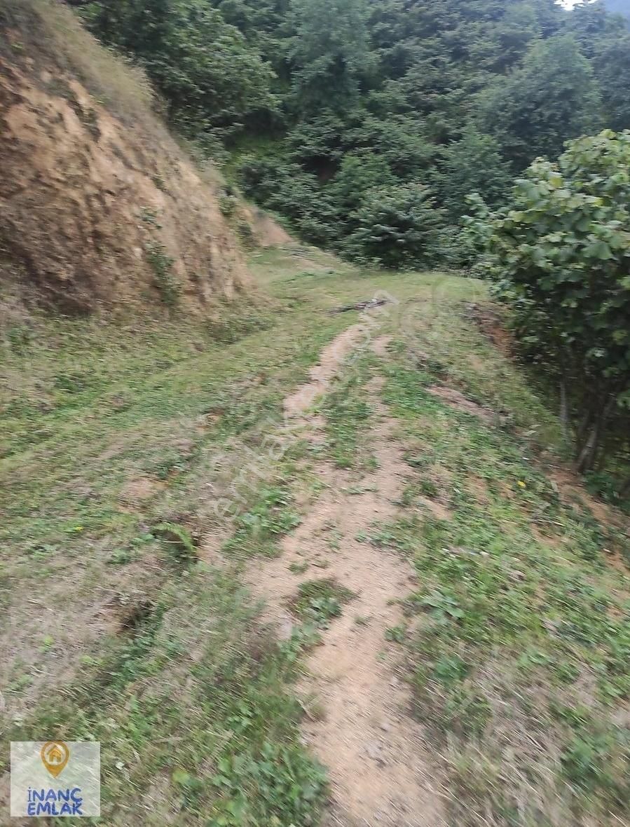 İnanç Prime Emlaktan Erikliman Da 20 Dönüm Turizm İmarlı Arsa - Görsel 23