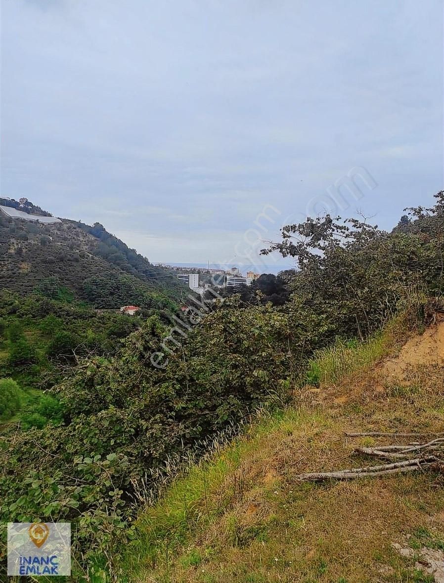 İnanç Prime Emlaktan Erikliman Da 20 Dönüm Turizm İmarlı Arsa - Görsel 19