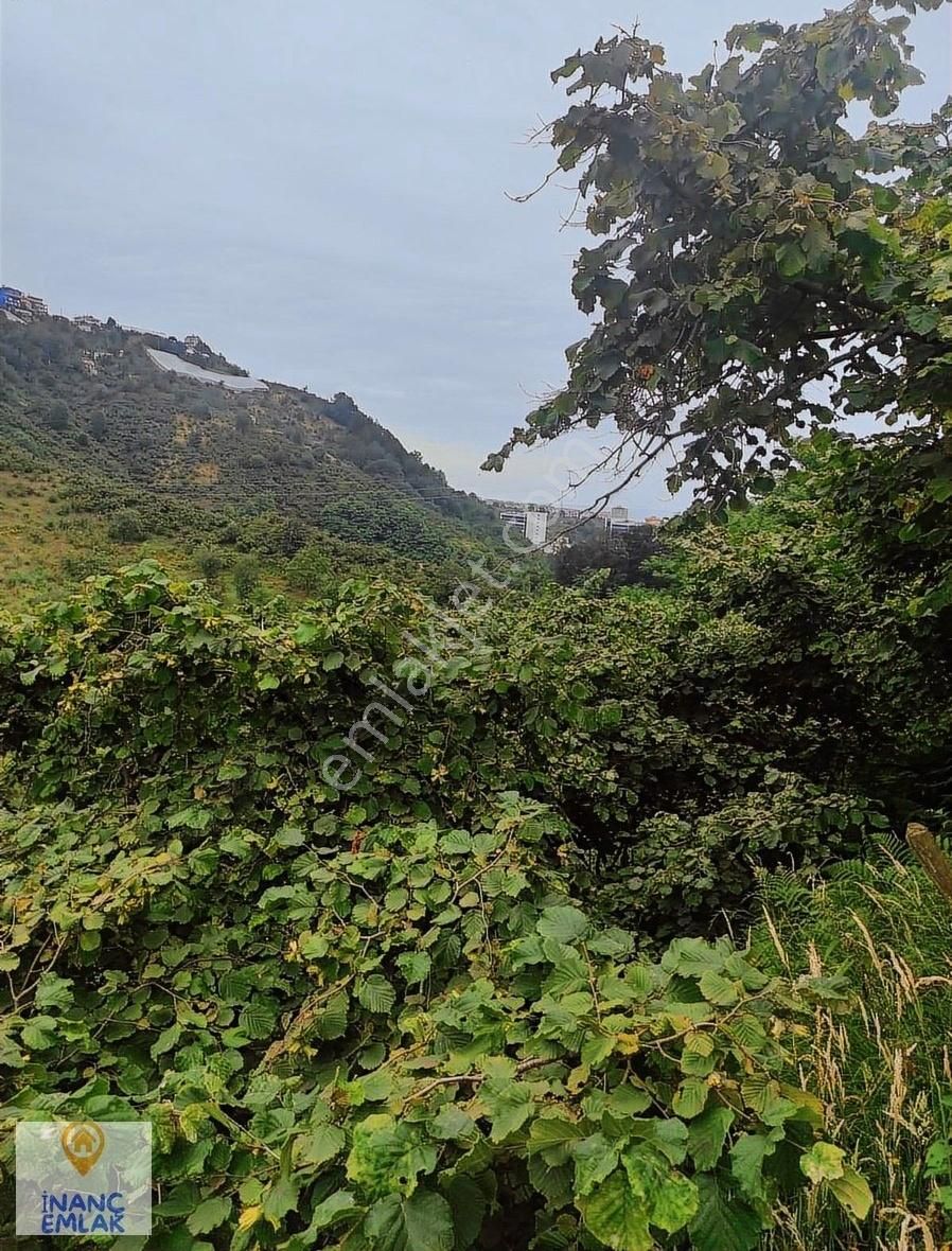 İnanç Prime Emlaktan Erikliman Da 20 Dönüm Turizm İmarlı Arsa - Görsel 30