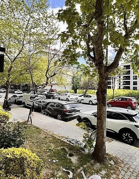Adnankahveci Mah Çamlıtepe Cad Üzerinde Kiracılı Satılık Dukkan