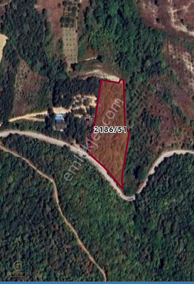 Century 21 Ewa'dan İznik Şerefiye'de Satılık Hisseli Tarla - Görsel 3