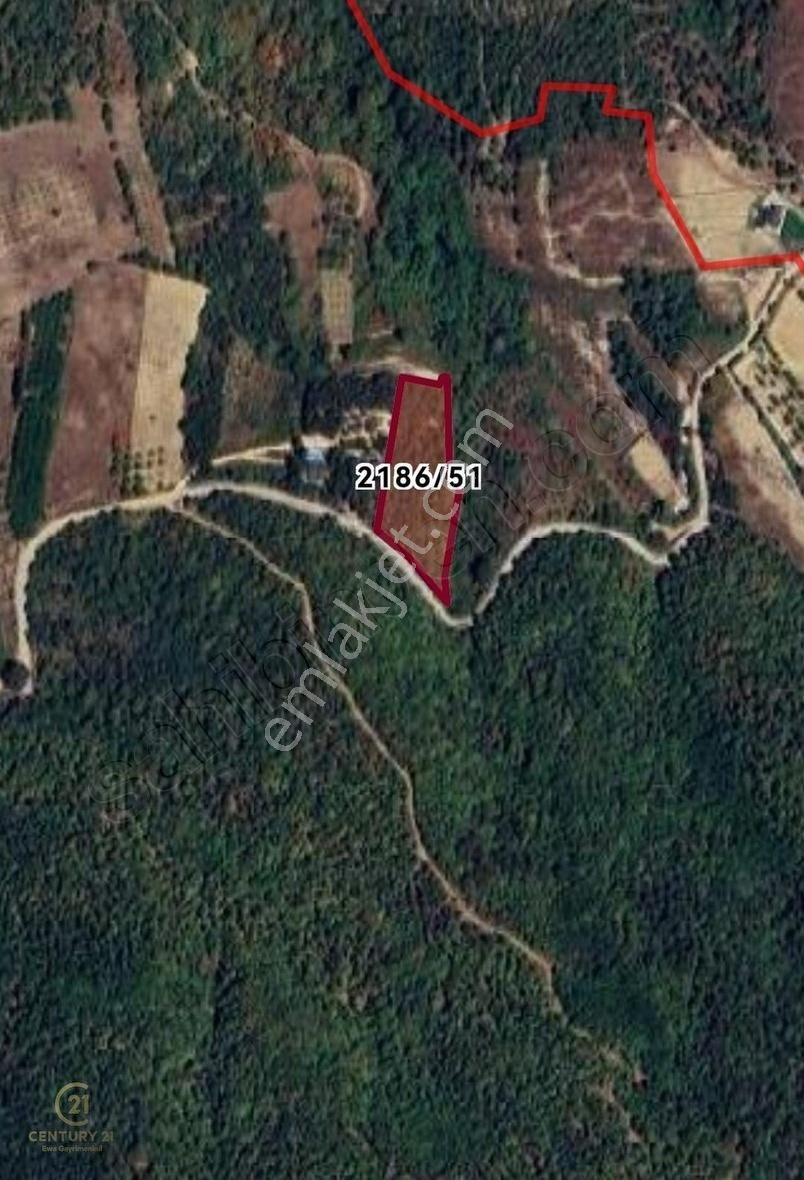 Century 21 Ewa'dan İznik Şerefiye'de Satılık Hisseli Tarla - Görsel 4