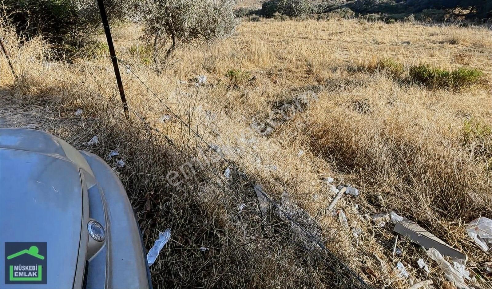 Bodrum Ortakent Merkezde Satılık İmarlı Arsa - Görsel 3