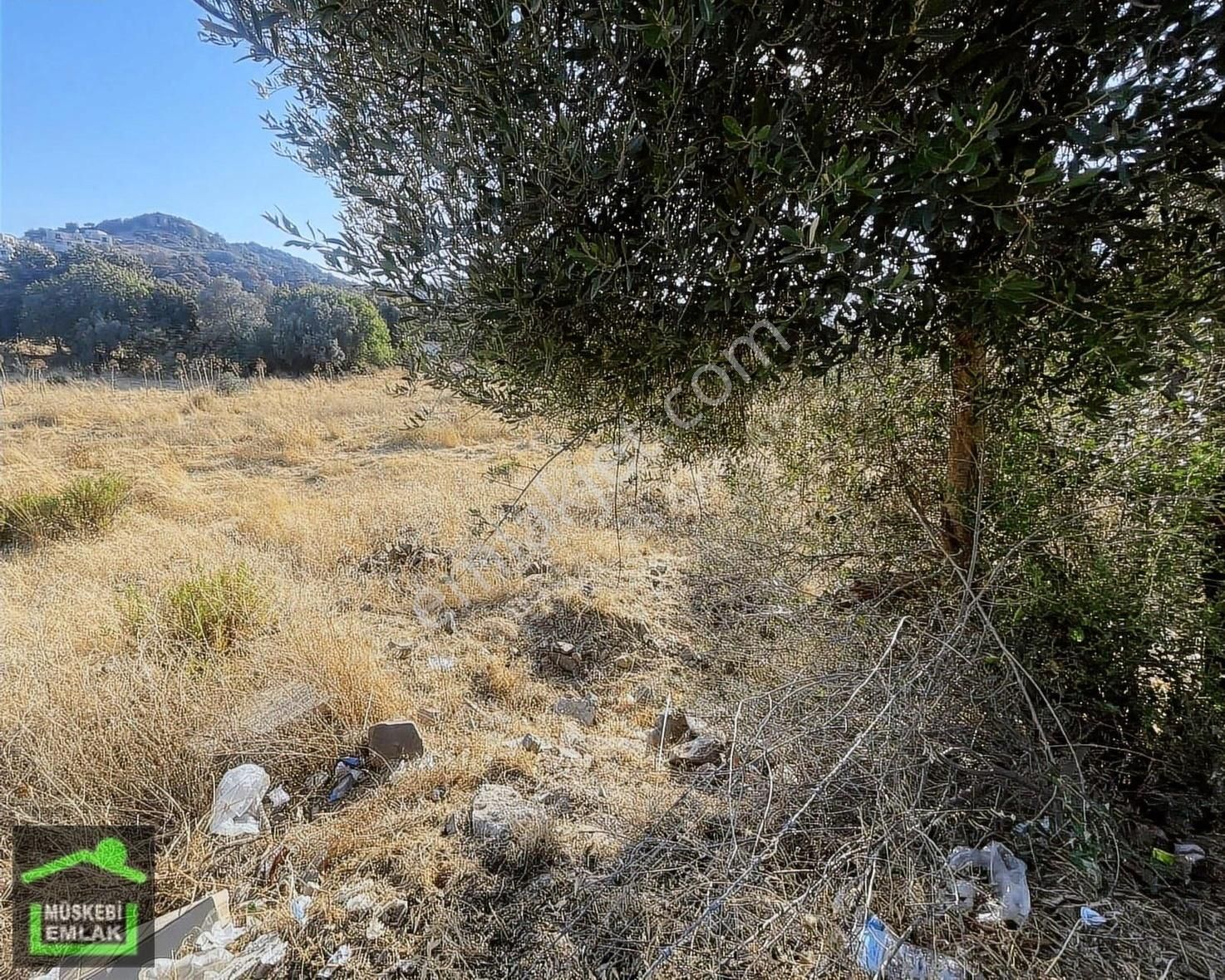 Bodrum Ortakent Merkezde Satılık İmarlı Arsa - Görsel 4