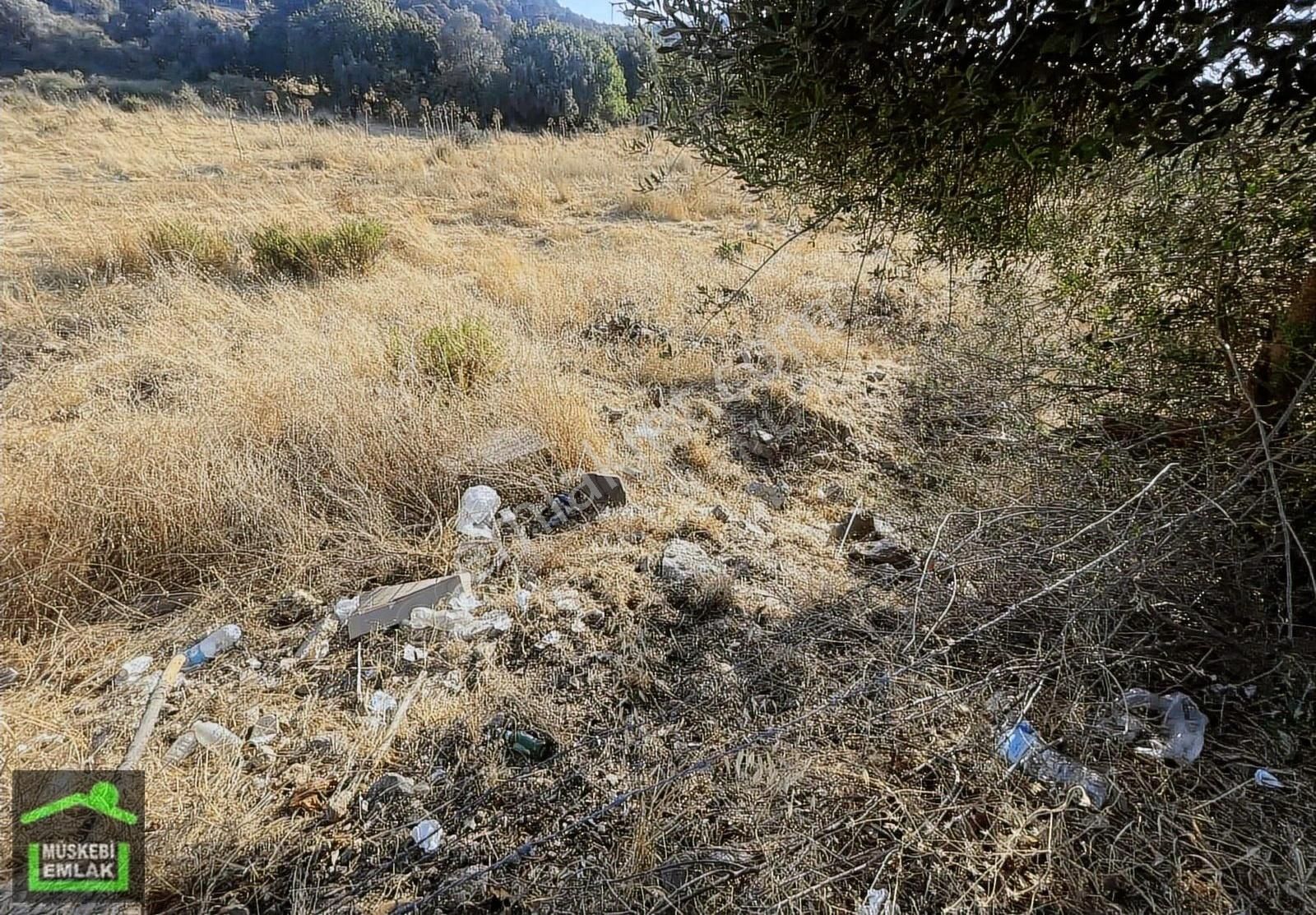 Bodrum Ortakent Merkezde Satılık İmarlı Arsa - Görsel 6