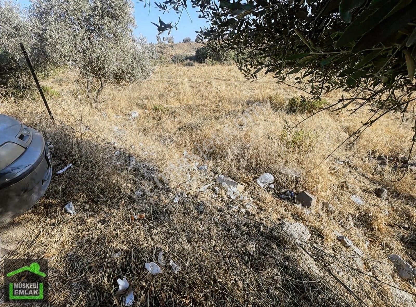 Bodrum Ortakent Merkezde Satılık İmarlı Arsa - Görsel 9