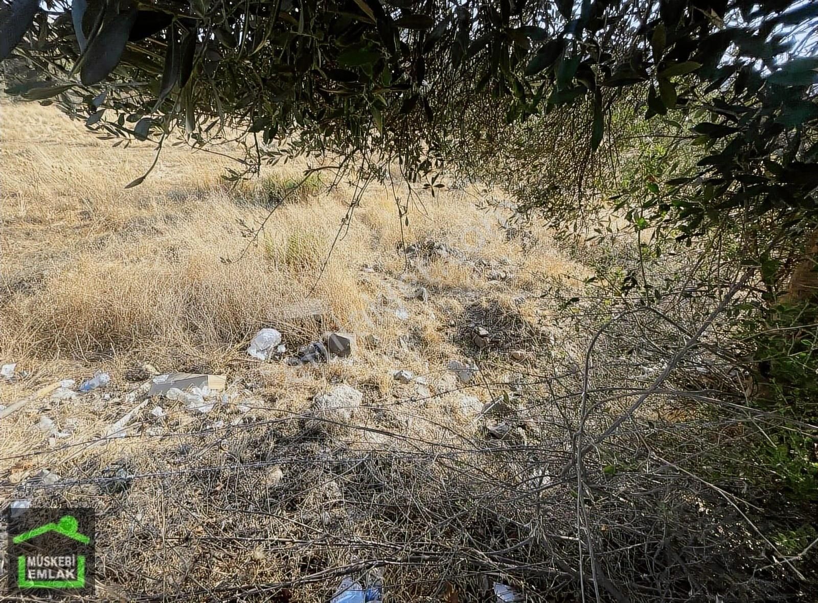 Bodrum Ortakent Merkezde Satılık İmarlı Arsa