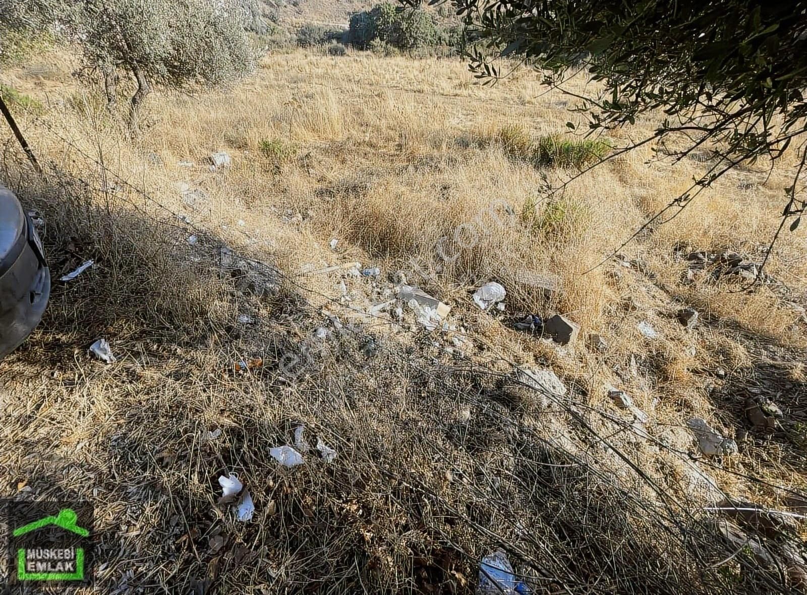 Bodrum Ortakent Merkezde Satılık İmarlı Arsa - Görsel 5