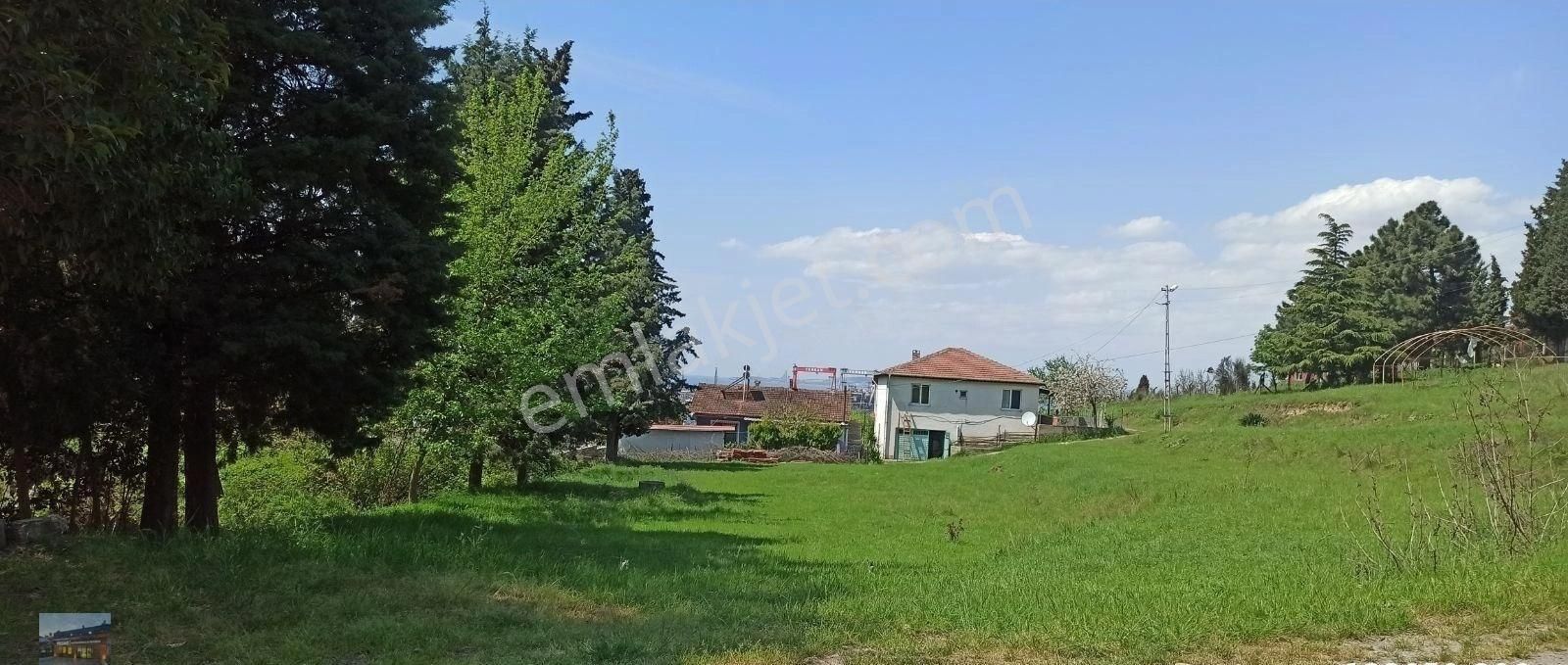 Yalova Altinova Cavusciftikde Üç Parsel Arsa
