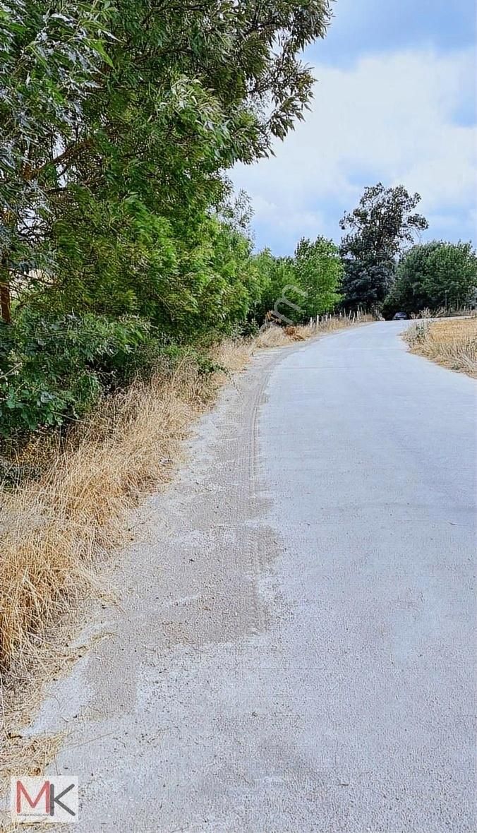 Kavak Dura Mahallesinde Yola Cephe Satılık Fırsat Tarla