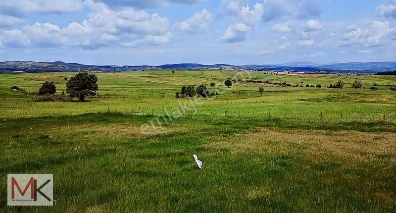 Kavak Ahırlı Da Araç Takaslı Satılık 1400m2 Tarla