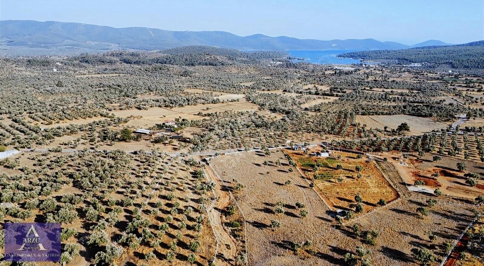 Kazıklı Koyu Manzaralı 10953m2 Satılık Arsa