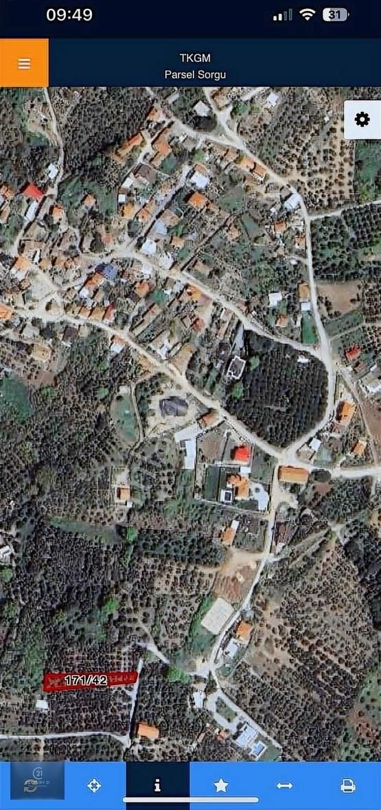 Geleceğe Yatırım: Köy Merkezine 450 M Mesafede Zeytinlik - Görsel 4
