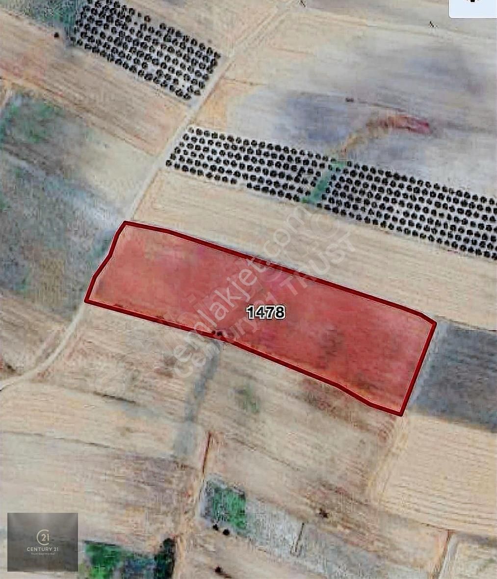 Tophisar Mah. Satılık Tarla - Görsel 2