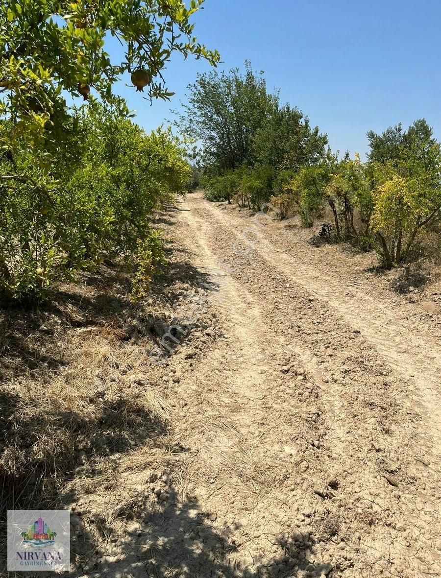 Pamukkale Küçükdere'de 1651 M2 Bahçe - Görsel 4