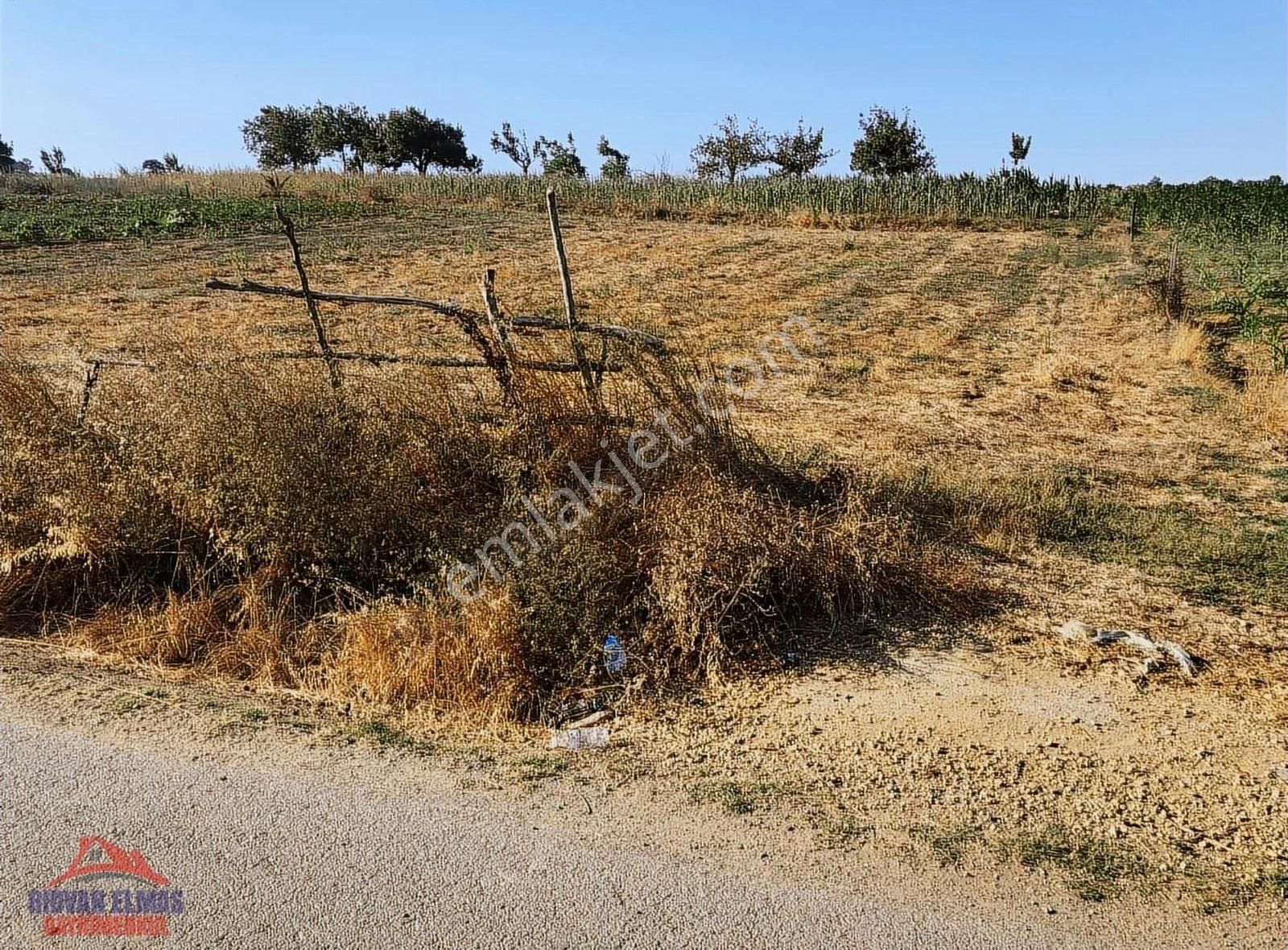 Kandıra Kırkarmut Ana Yola Cephe Satılık Arsa - Görsel 5