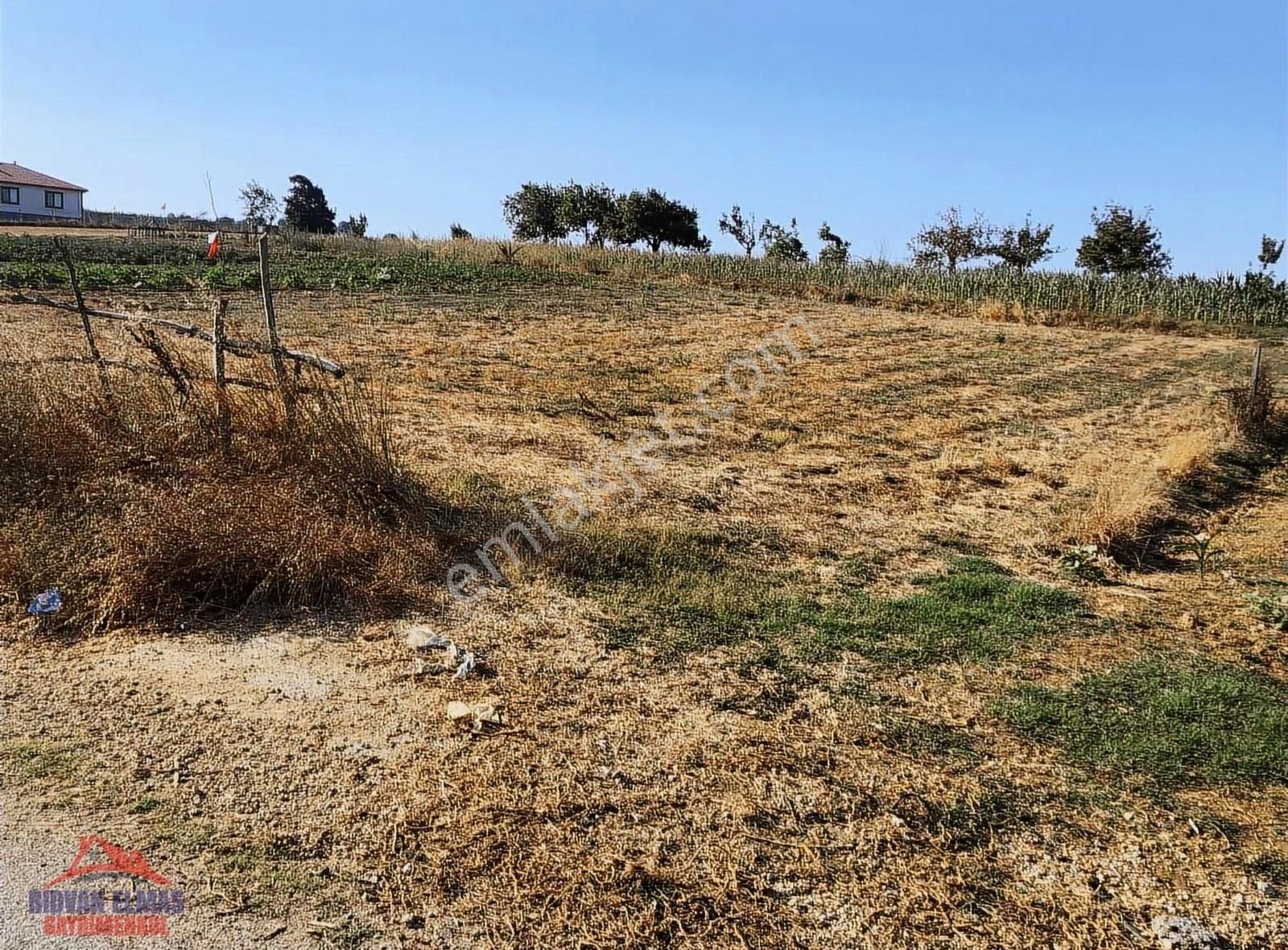 Kandıra Kırkarmut Ana Yola Cephe Satılık Arsa - Görsel 11