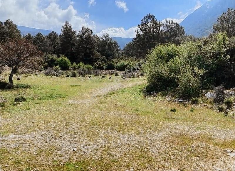 Ovacıkta 2700 M² Yatırımlık Arsa Fırsatı! - Görsel 3