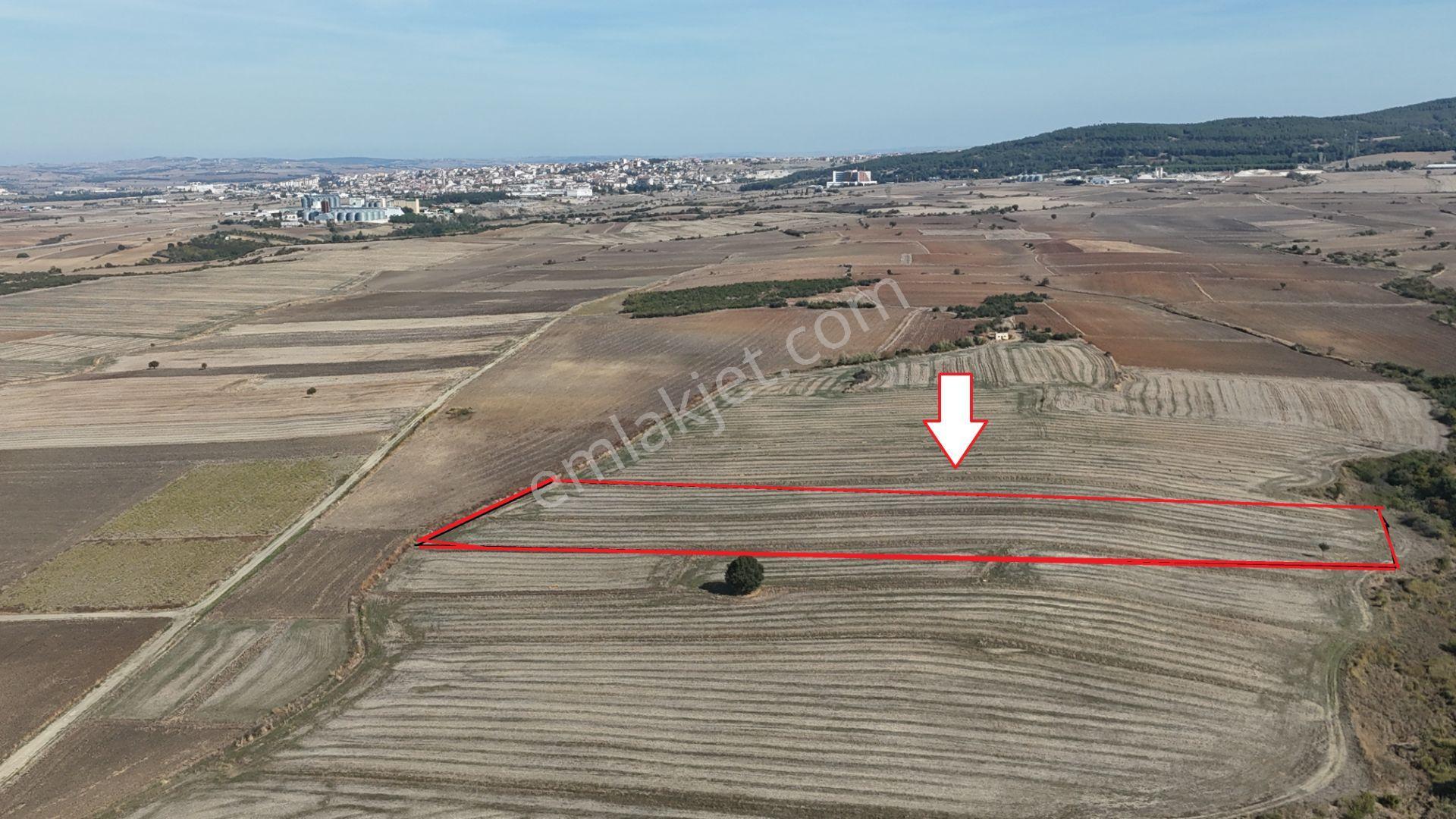 Ege Emlaktan Siğilli Köyünde Yatırımlık Tarla - Görsel 3