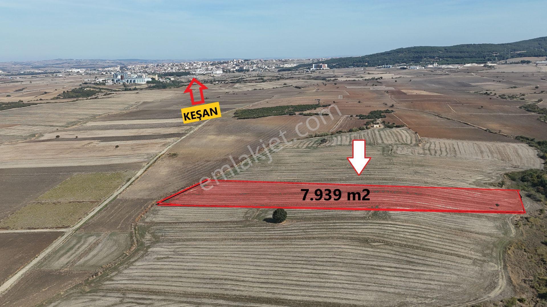 Ege Emlaktan Siğilli Köyünde Yatırımlık Tarla