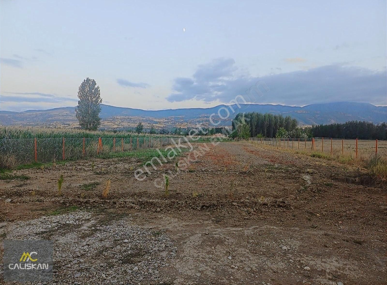 Emirseyit'te Satılık 2140 M2 Tarla Ve İçerisinde 42 M2 Bahçe Evi - Görsel 11