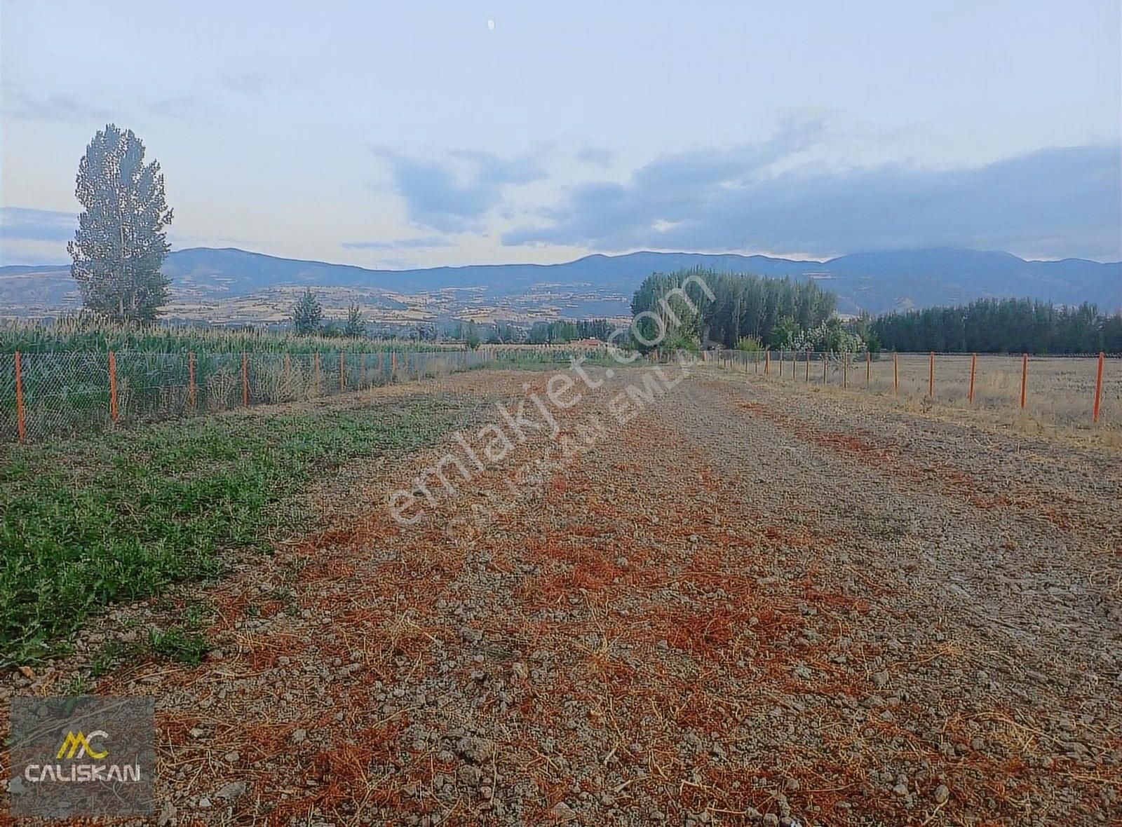 Emirseyit'te Satılık 2140 M2 Tarla Ve İçerisinde 42 M2 Bahçe Evi - Görsel 3