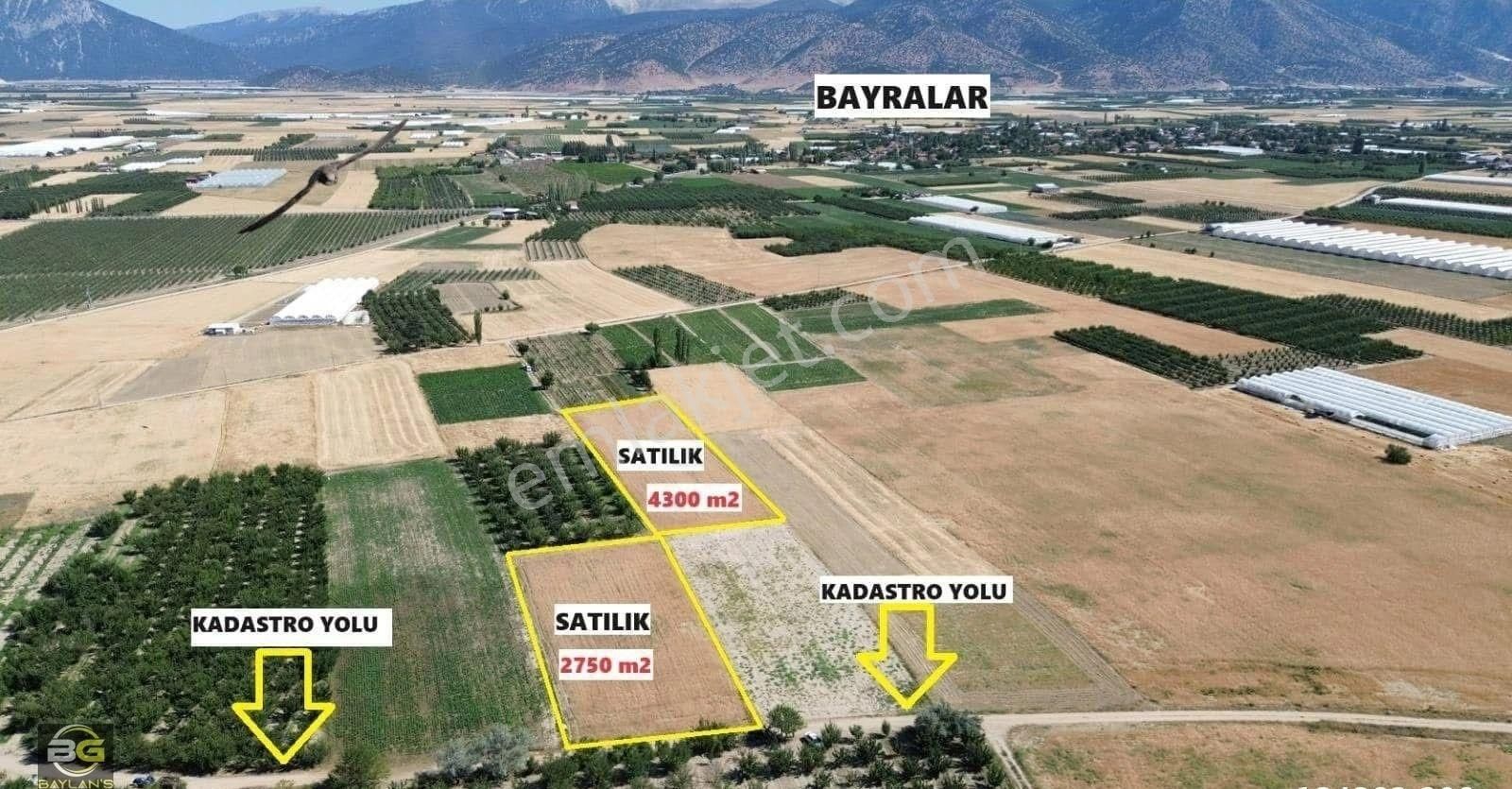 Baylan S Gayrimenkul Den Bayralar Da Fırsat Tarla Toplam 7025 M2 Müstakil Tapu