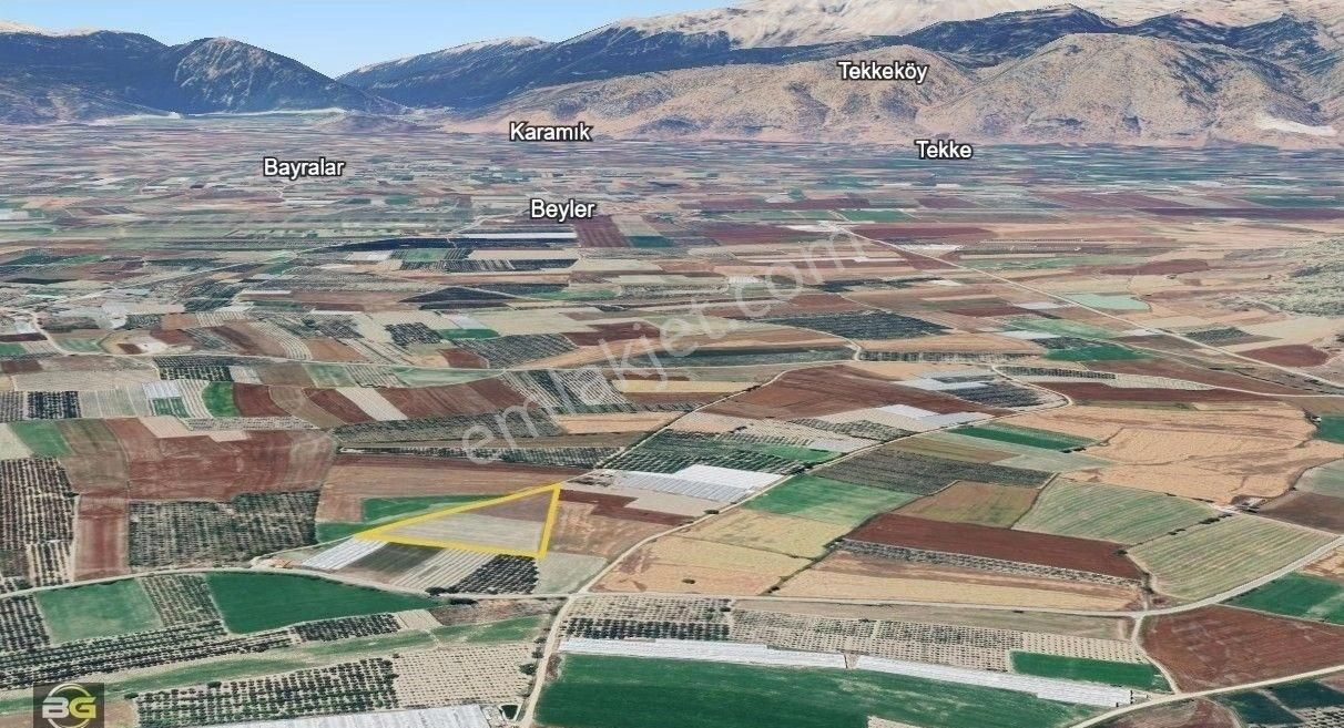 Baylan's Gayrimenkul Den Satılık Tavullar Da 14.500 M2 Fırsat Tarla